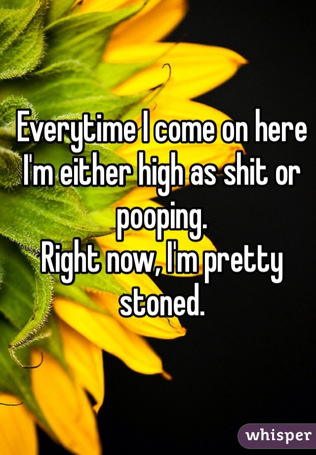 Everytime I come on here I'm either high as shit or pooping. 
Right now, I'm pretty stoned. 