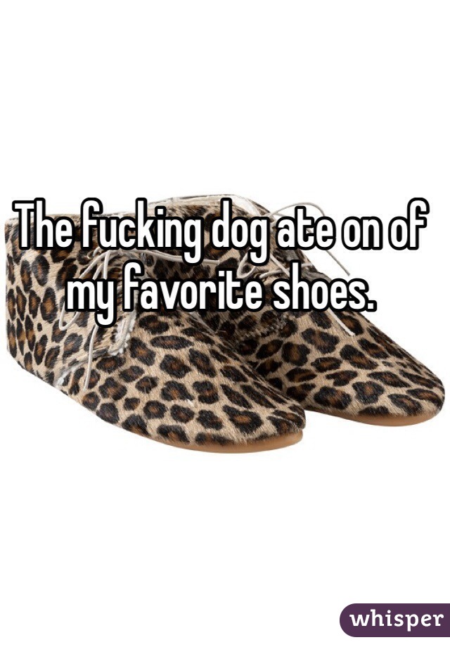 The fucking dog ate on of my favorite shoes.