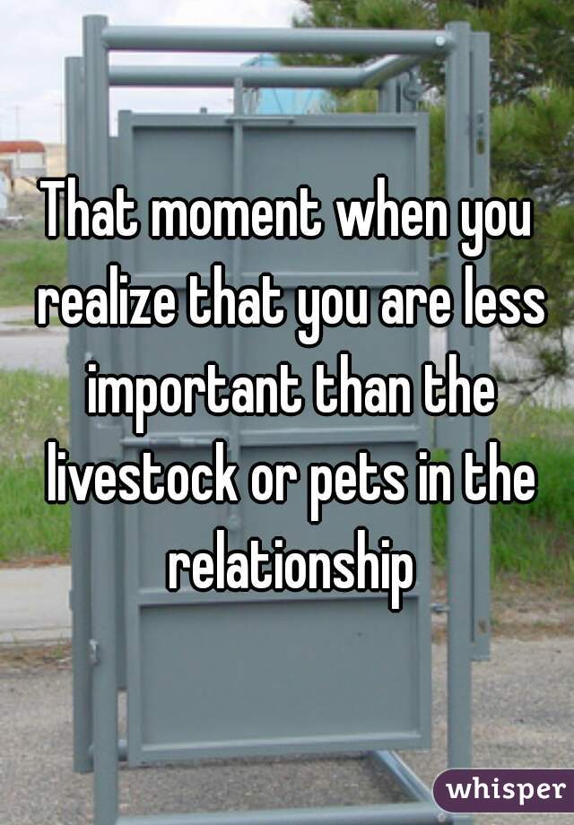 That moment when you realize that you are less important than the livestock or pets in the relationship