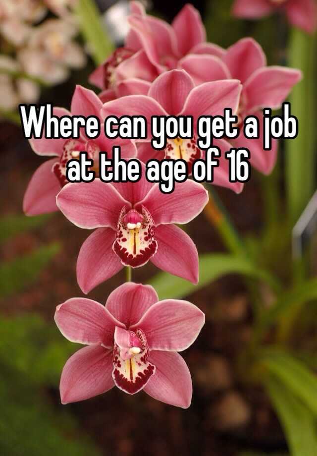 where-can-you-get-a-job-at-the-age-of-16