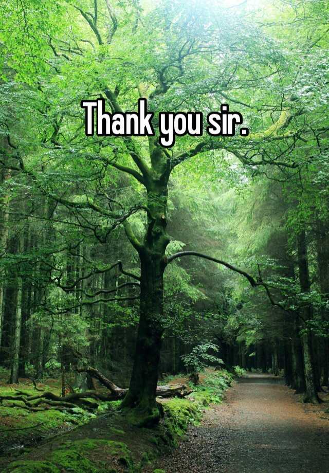 thank-you-sir-youtube