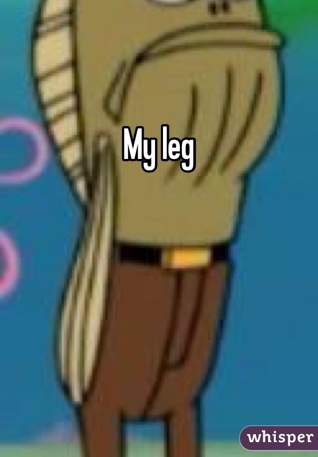 My leg