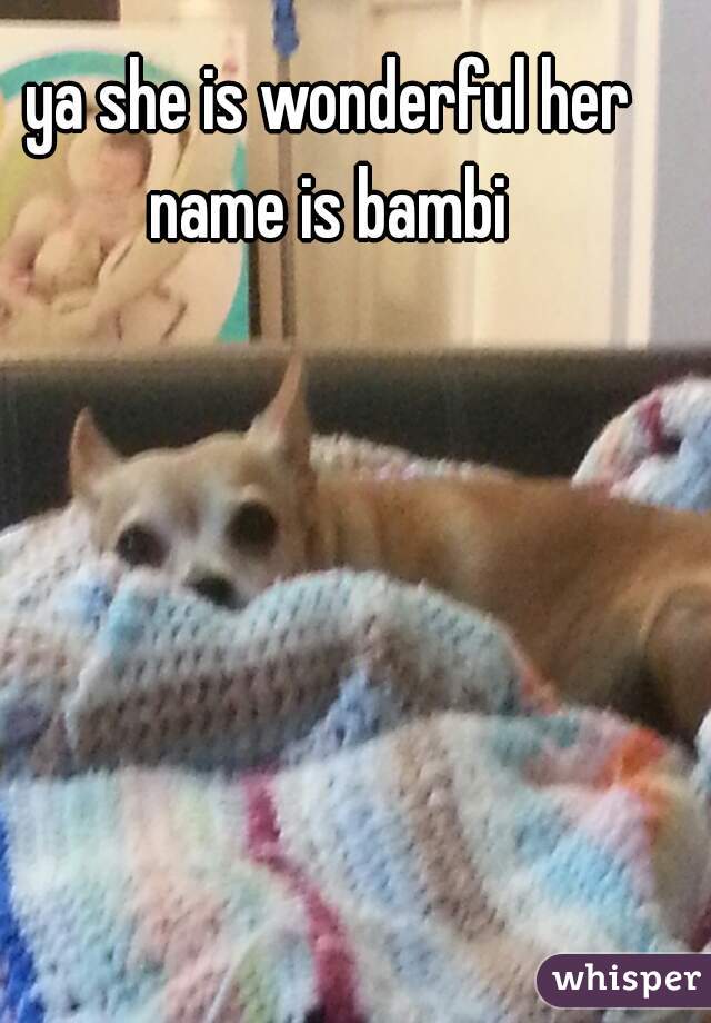 ya she is wonderful her name is bambi 