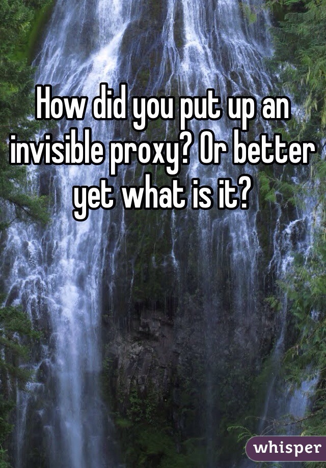 How did you put up an invisible proxy? Or better yet what is it?  
