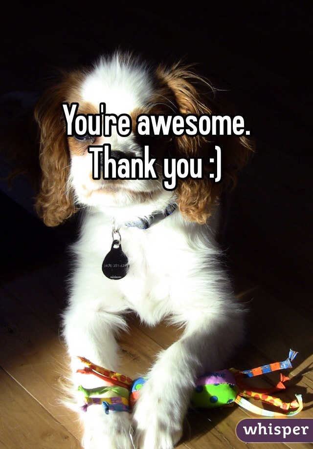 You're awesome. 
Thank you :)