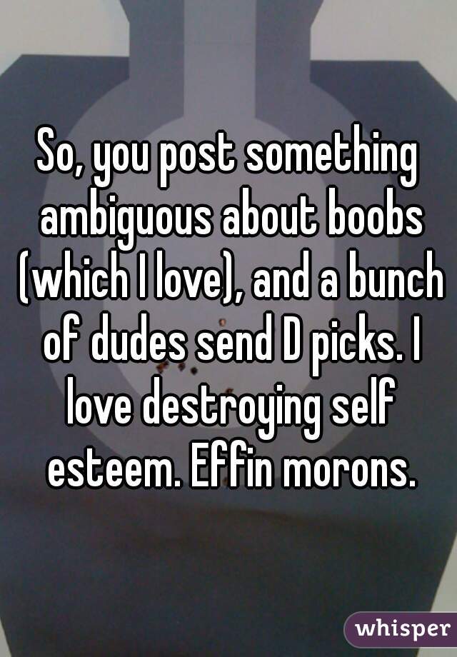 So, you post something ambiguous about boobs (which I love), and a bunch of dudes send D picks. I love destroying self esteem. Effin morons.