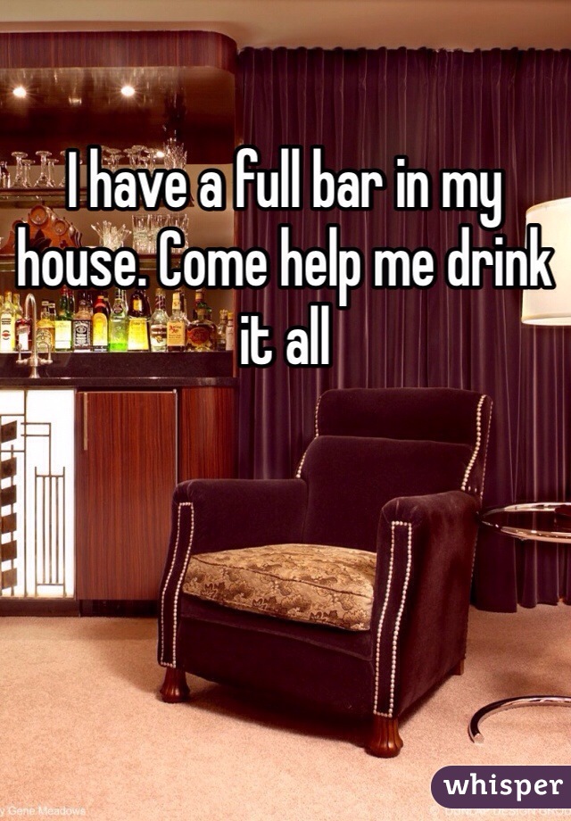 I have a full bar in my house. Come help me drink it all 