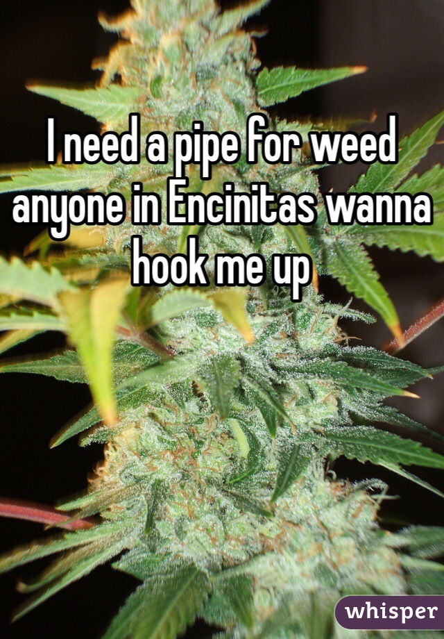 I need a pipe for weed anyone in Encinitas wanna hook me up