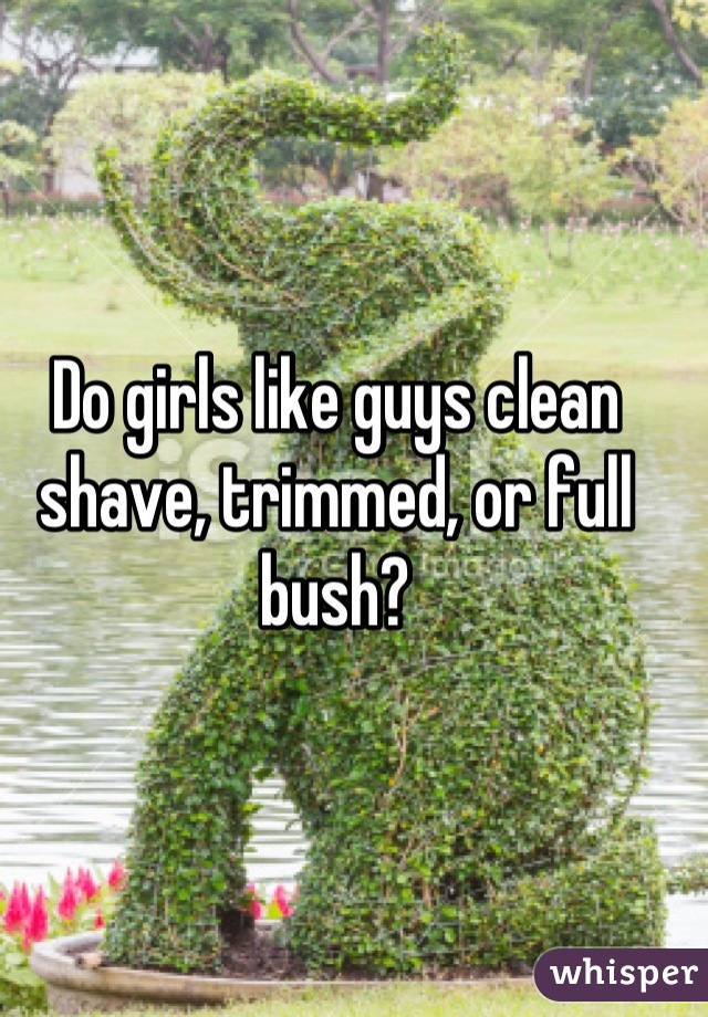 Do girls like guys clean shave, trimmed, or full bush?