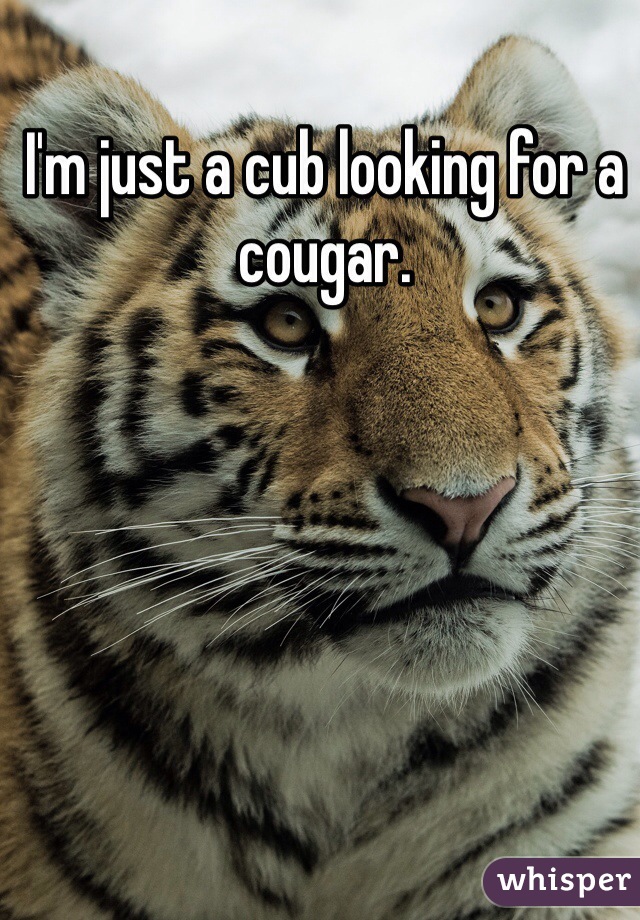 I'm just a cub looking for a cougar. 