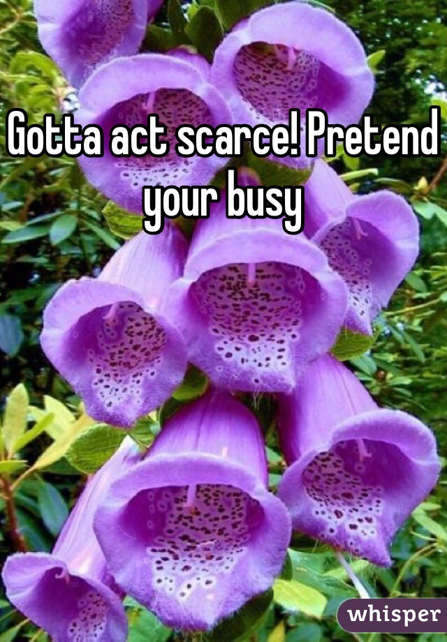 Gotta act scarce! Pretend your busy