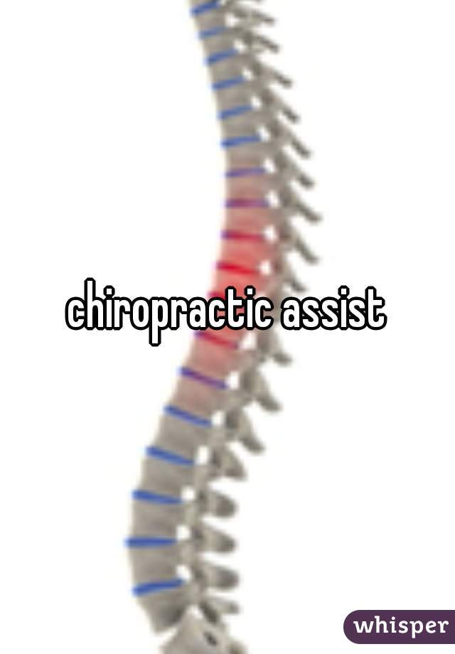 chiropractic assist