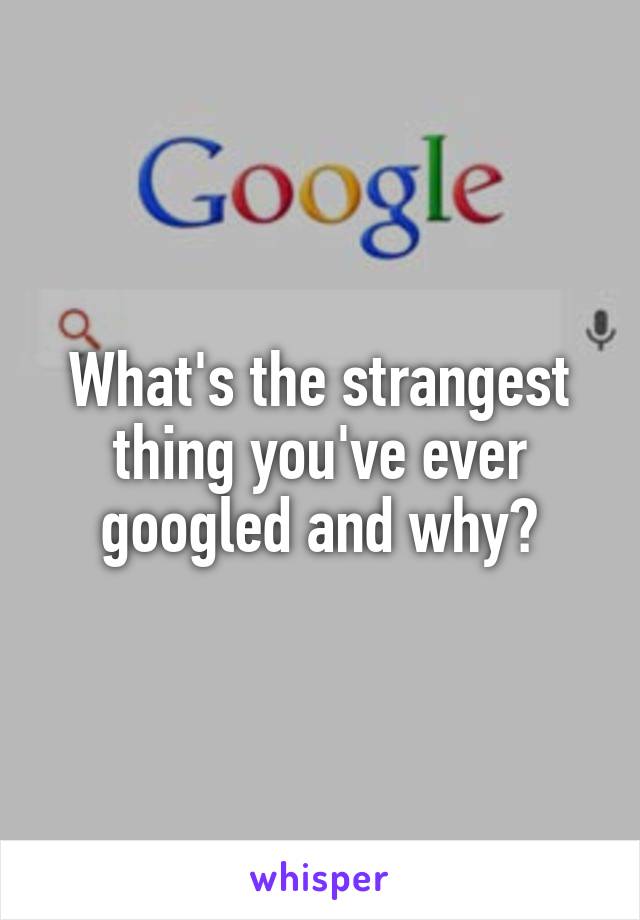 What's the strangest thing you've ever googled and why?