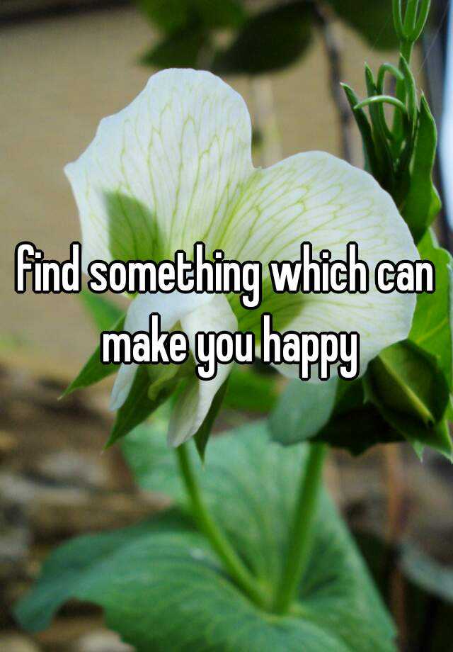 find-something-which-can-make-you-happy