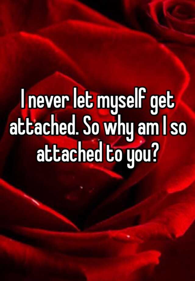 i-never-let-myself-get-attached-so-why-am-i-so-attached-to-you