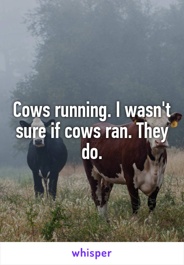 Cows running. I wasn't sure if cows ran. They do.