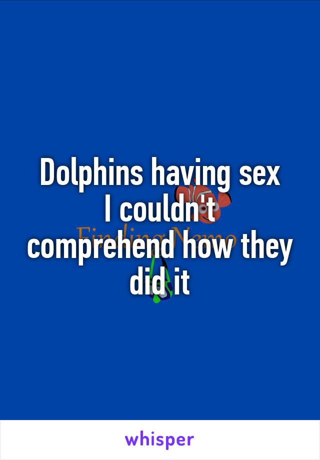 Dolphins having sex
I couldn't comprehend how they did it