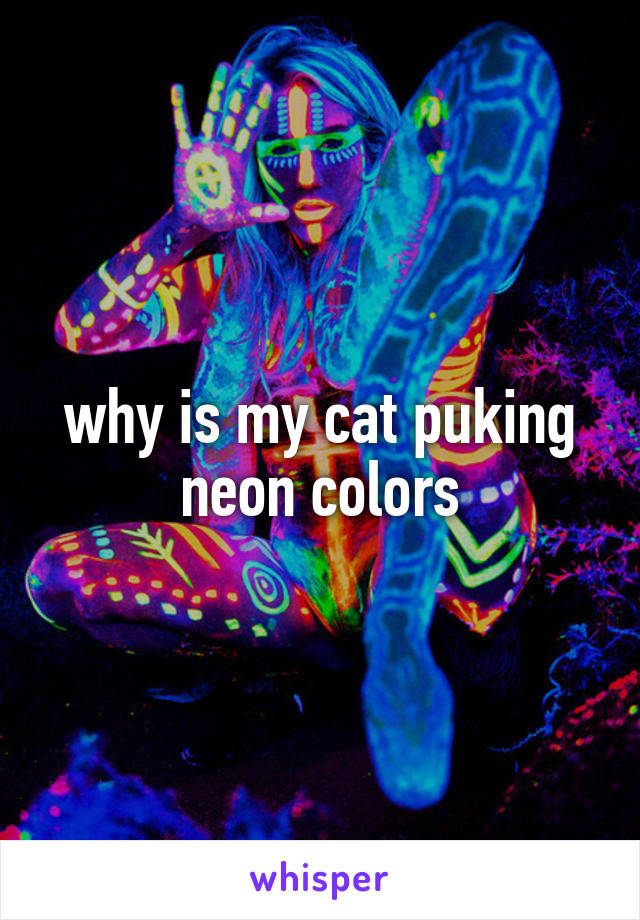 why is my cat puking neon colors