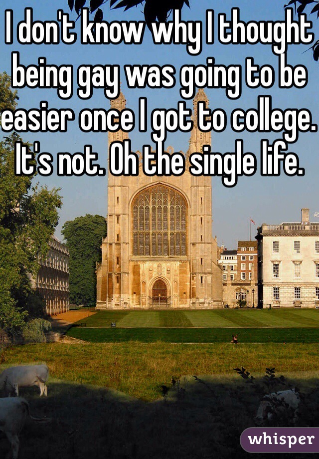 I don't know why I thought being gay was going to be easier once I got to college. It's not. Oh the single life. 