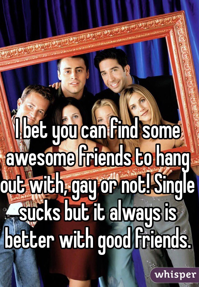 I bet you can find some awesome friends to hang out with, gay or not! Single sucks but it always is better with good friends. 