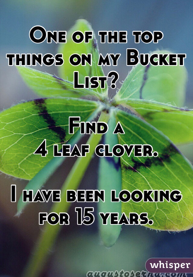 One of the top things on my Bucket List? 

Find a
4 leaf clover. 

I have been looking  for 15 years. 