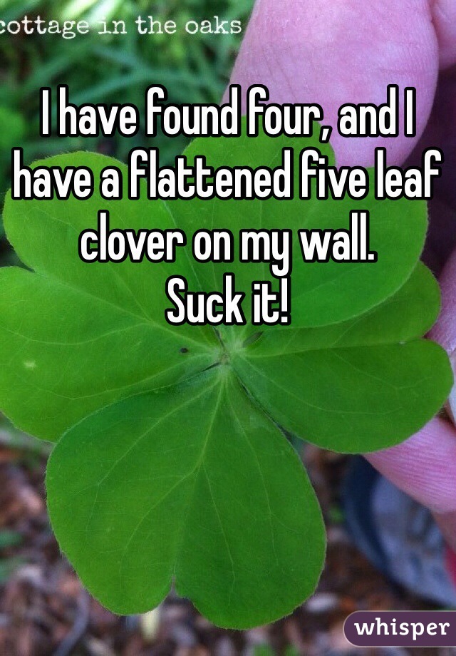 I have found four, and I have a flattened five leaf clover on my wall.
Suck it!