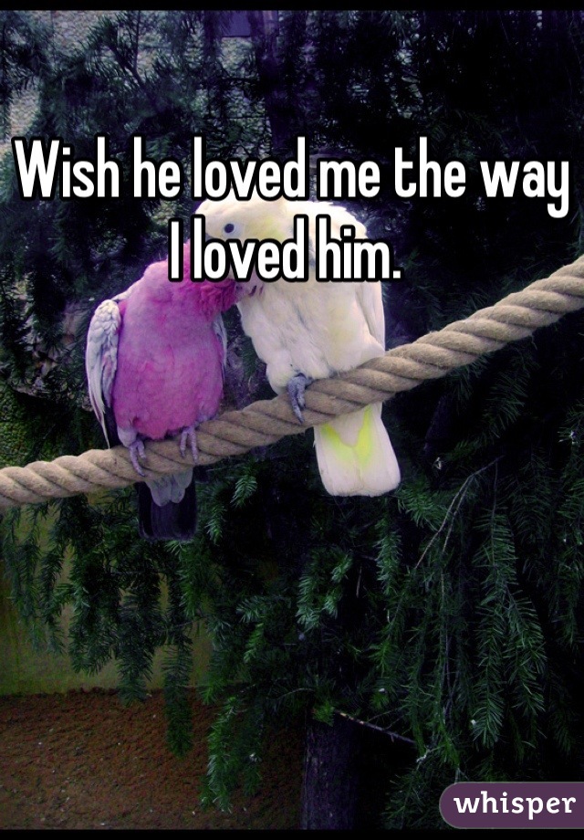 Wish he loved me the way I loved him. 