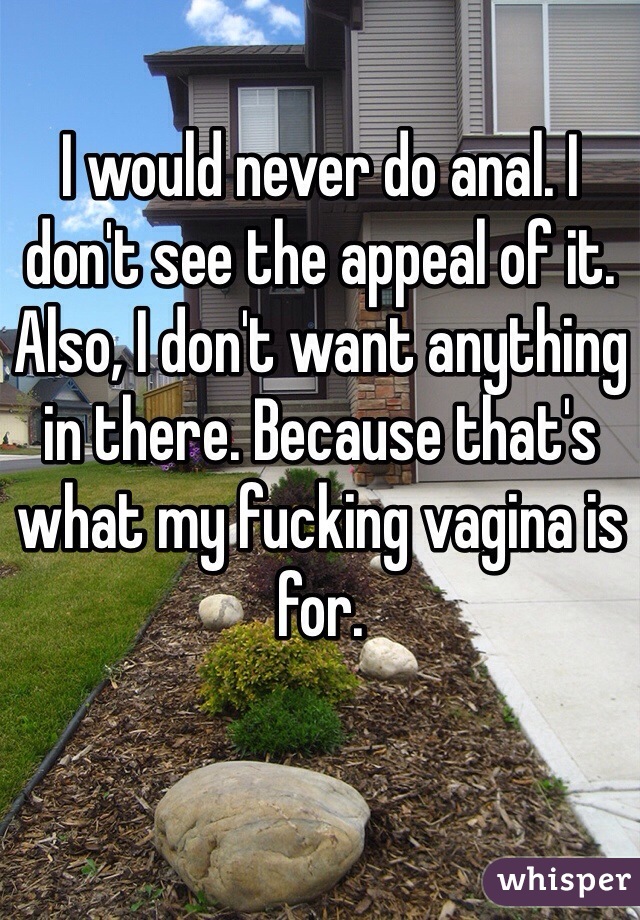 I would never do anal. I don't see the appeal of it. Also, I don't want anything in there. Because that's what my fucking vagina is for. 