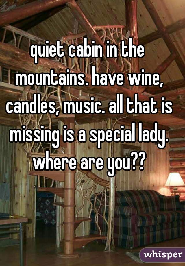 quiet cabin in the mountains. have wine, candles, music. all that is missing is a special lady. where are you??