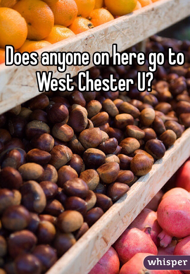 Does anyone on here go to West Chester U? 