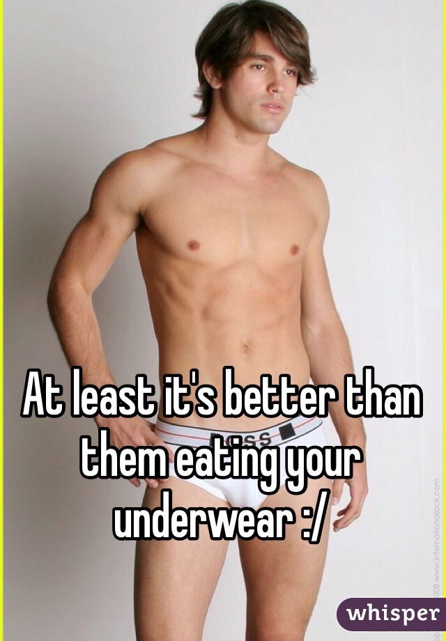 At least it's better than them eating your underwear :/