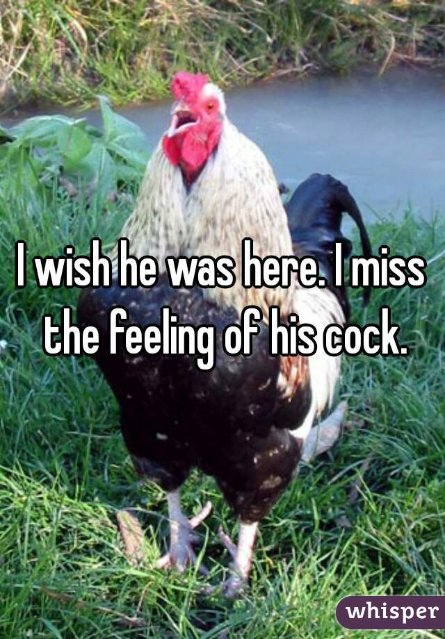 I wish he was here. I miss the feeling of his cock.