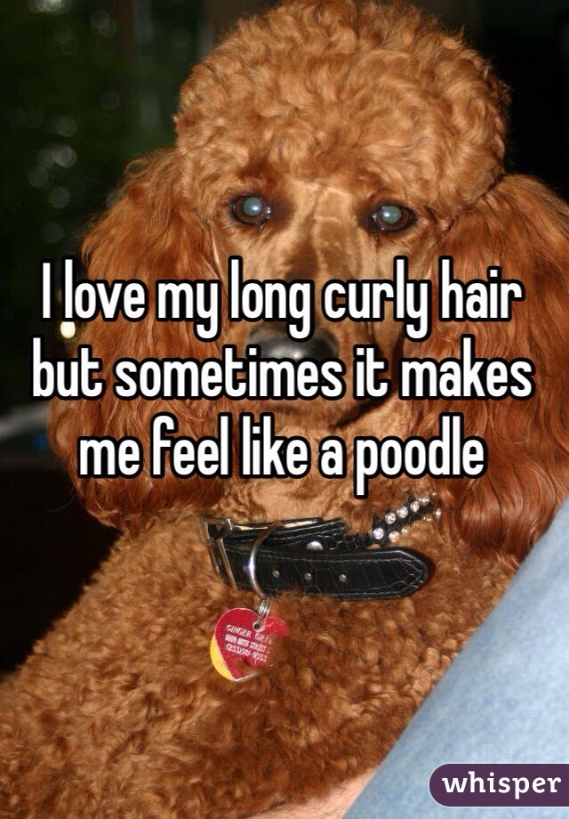 I love my long curly hair but sometimes it makes me feel like a poodle
