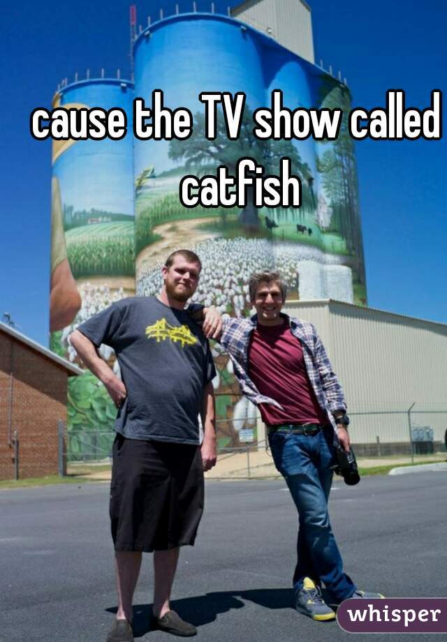 cause the TV show called catfish