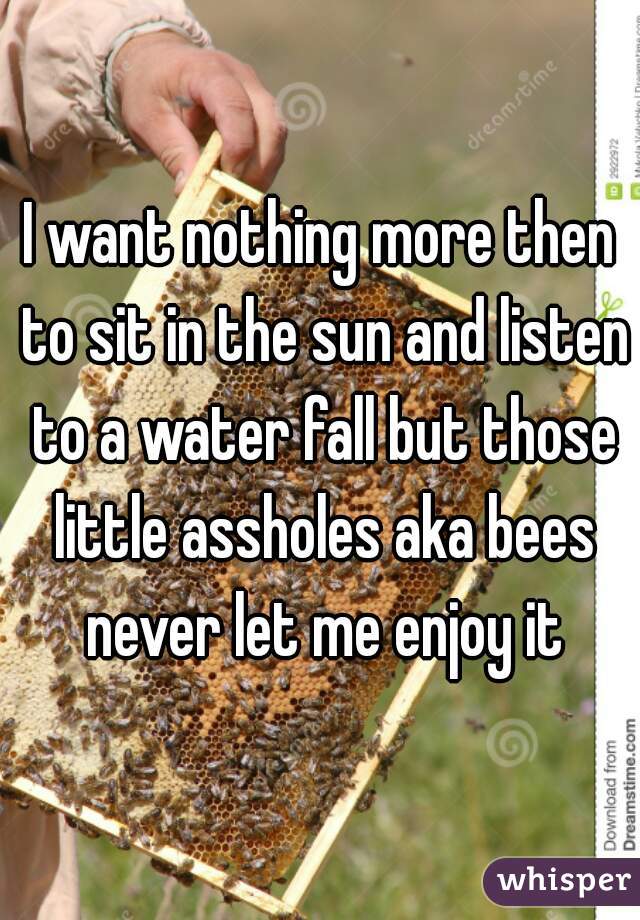 I want nothing more then to sit in the sun and listen to a water fall but those little assholes aka bees never let me enjoy it