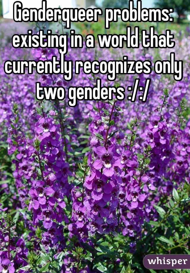 Genderqueer problems: existing in a world that currently recognizes only two genders :/:/