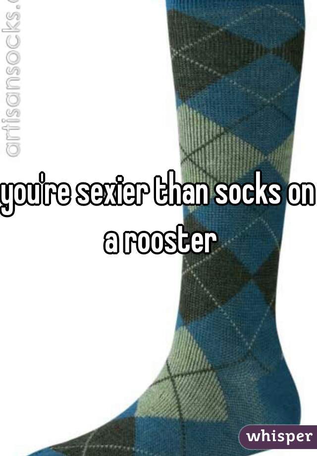 you're sexier than socks on a rooster