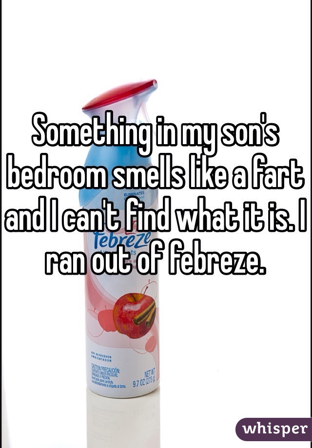 Something in my son's bedroom smells like a fart and I can't find what it is. I ran out of febreze.
