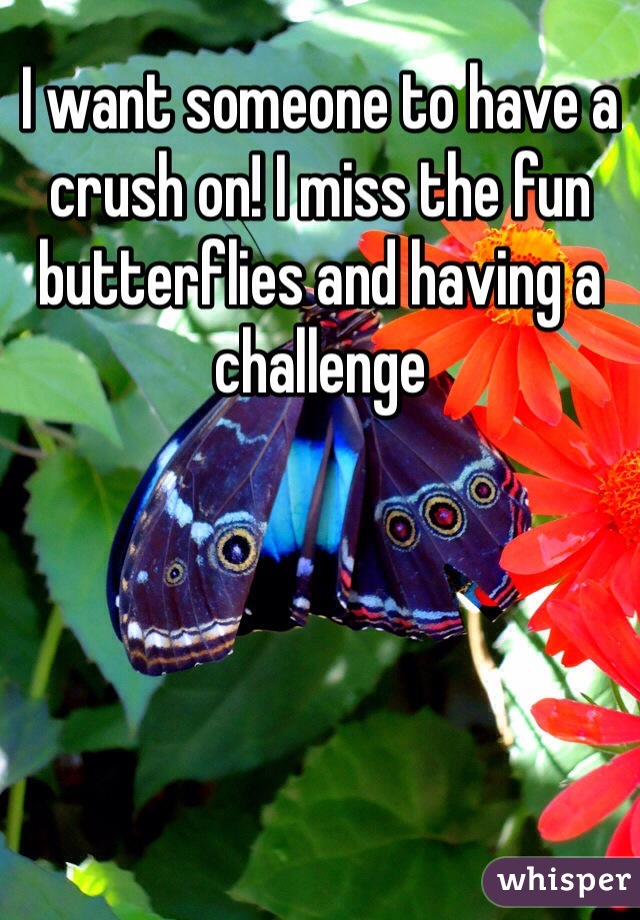 I want someone to have a crush on! I miss the fun butterflies and having a challenge 
