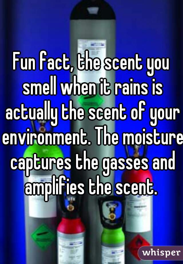 Fun fact, the scent you smell when it rains is actually the scent of your environment. The moisture captures the gasses and amplifies the scent. 