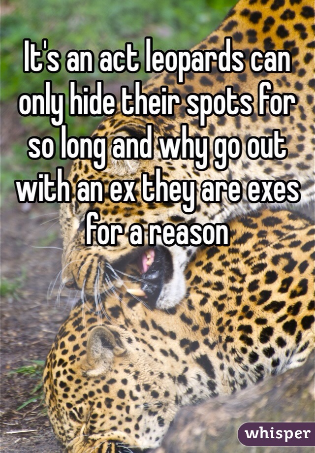 It's an act leopards can only hide their spots for so long and why go out with an ex they are exes for a reason