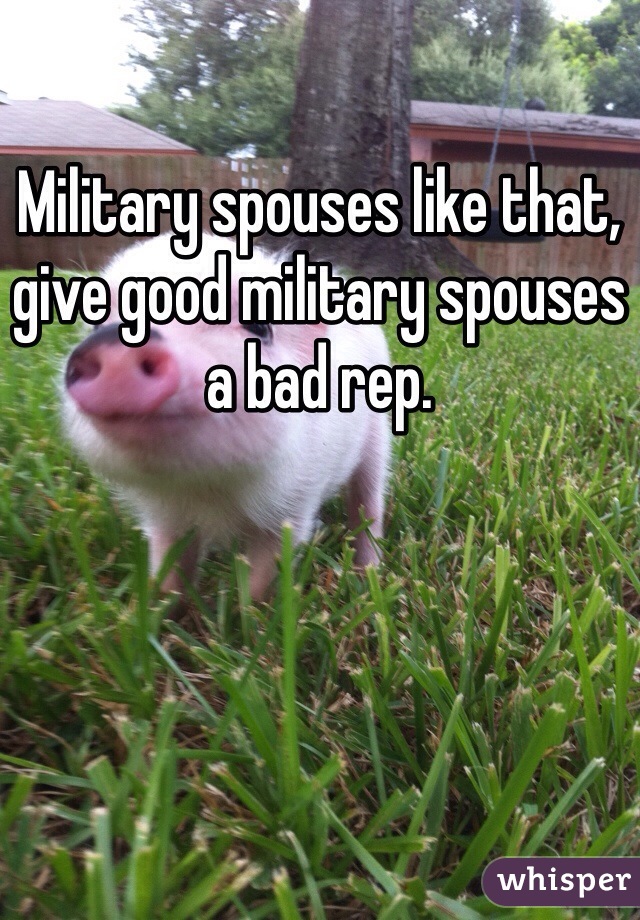 Military spouses like that, give good military spouses a bad rep.