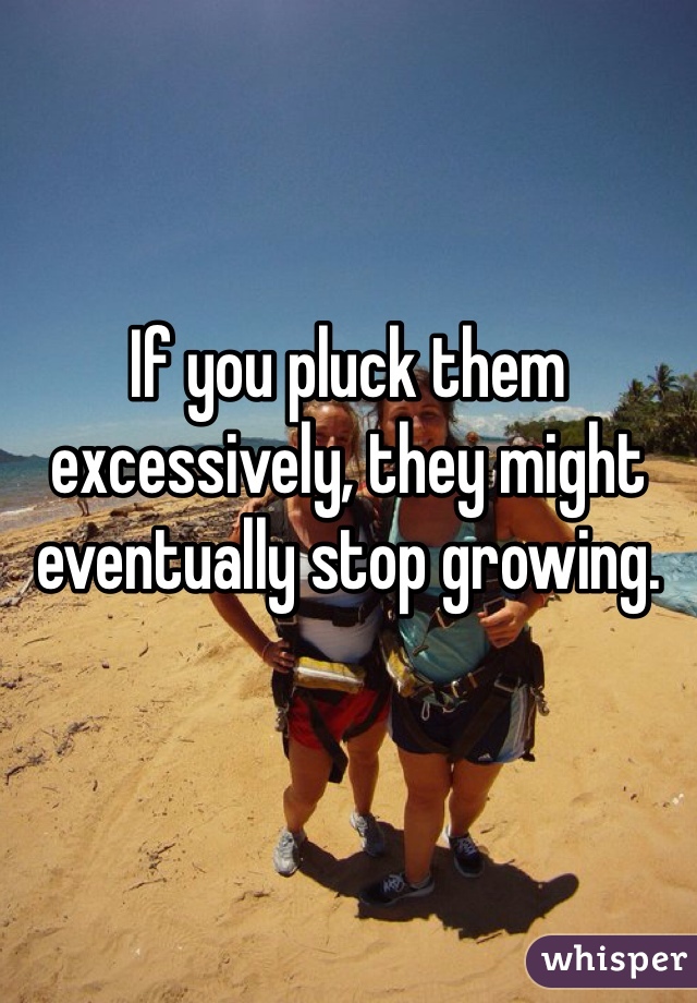 


If you pluck them excessively, they might eventually stop growing.
