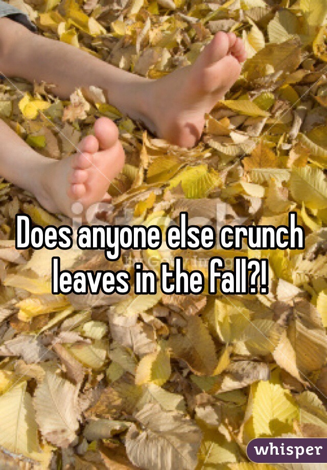 Does anyone else crunch leaves in the fall?!