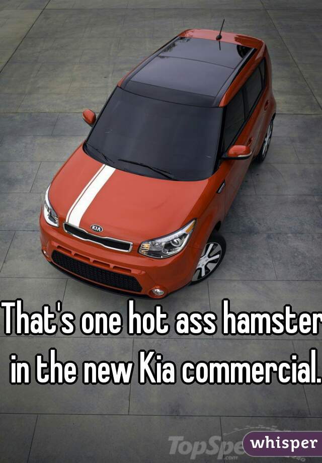 That's one hot ass hamster in the new Kia commercial.