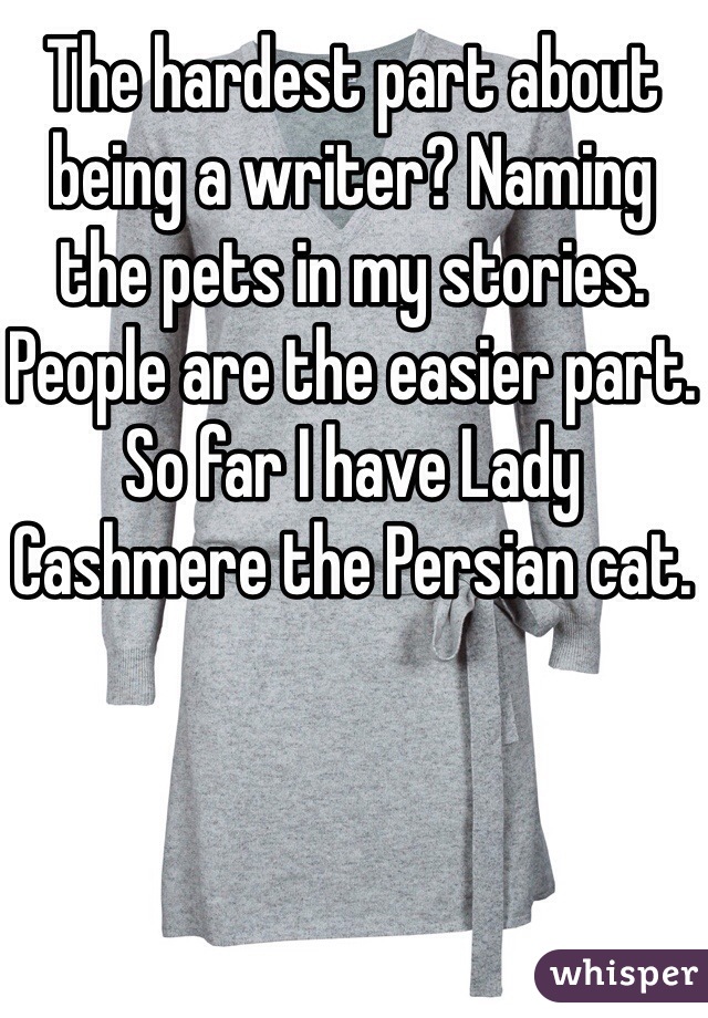 The hardest part about being a writer? Naming the pets in my stories. People are the easier part. So far I have Lady Cashmere the Persian cat. 