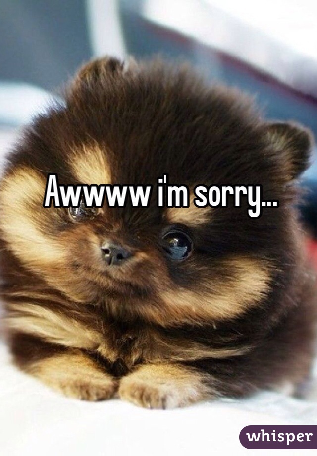 Awwww i'm sorry... 