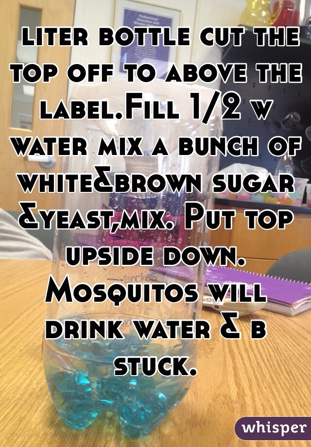  liter bottle cut the top off to above the label.Fill 1/2 w water mix a bunch of white&brown sugar &yeast,mix. Put top upside down. Mosquitos will drink water & b stuck.