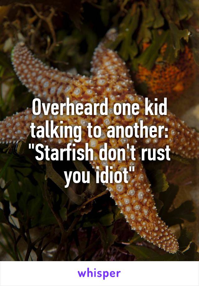 Overheard one kid talking to another: "Starfish don't rust you idiot"