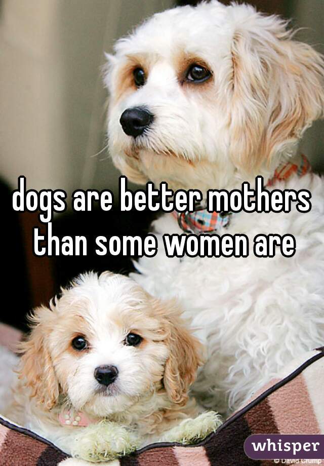 dogs are better mothers than some women are